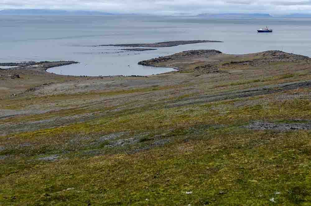 109 - Noruega - islas Svalbard - isla de Edgeoya - Kapp Lee
